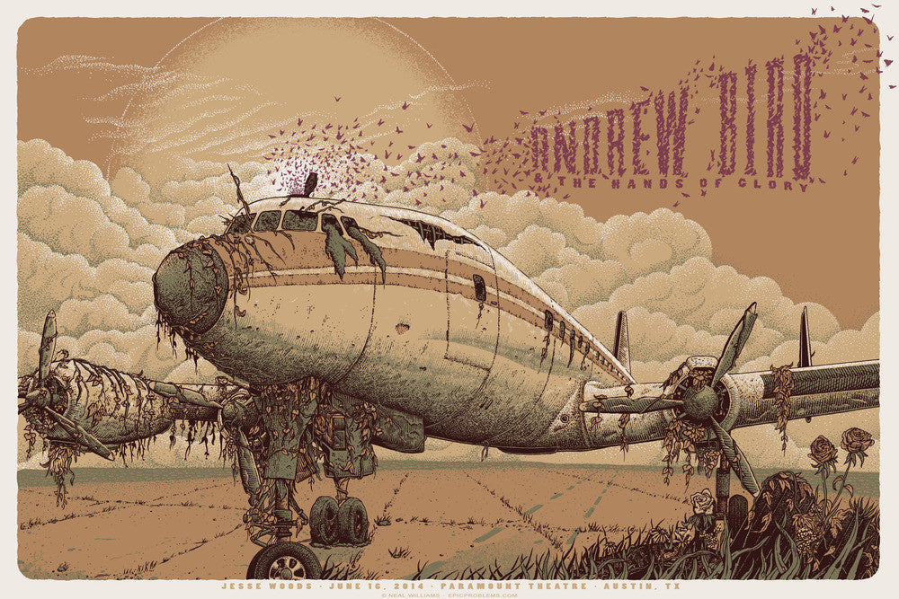 Neal Williams - 2014 Andrew Bird - Austin Poster