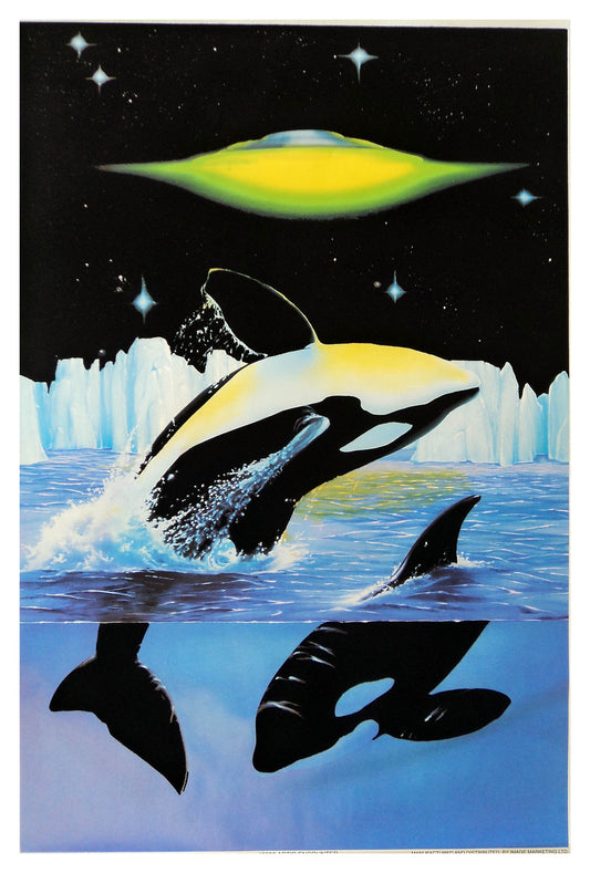 Felt Black Light Poster - 1997 - Arctic Encounter