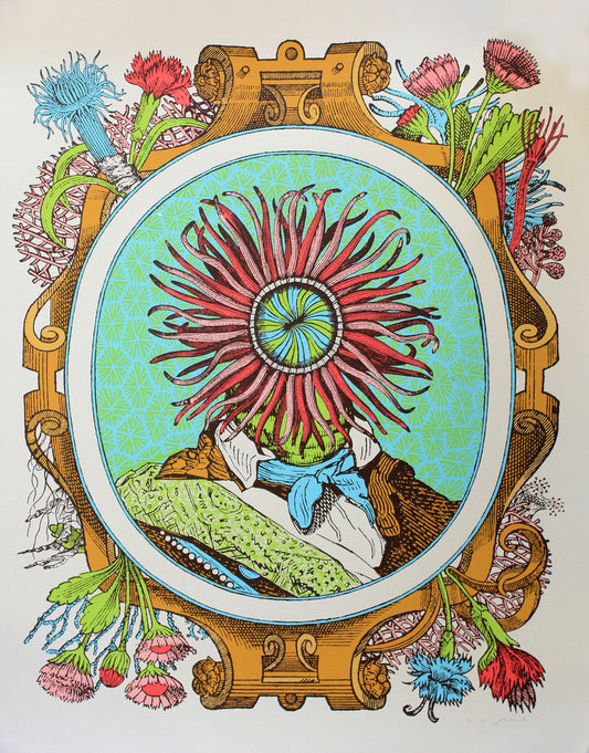 Nate Duval - 2009 - Admiral Anenome